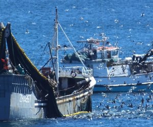 Atlantic Leader hak vas